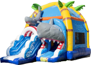 Requin Requin